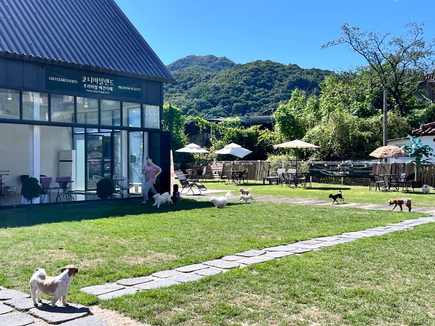 코나아일랜드 남양주 전경